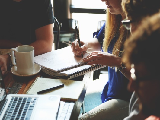 Agile Delivery Adoption